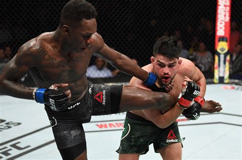 mma fighting.
